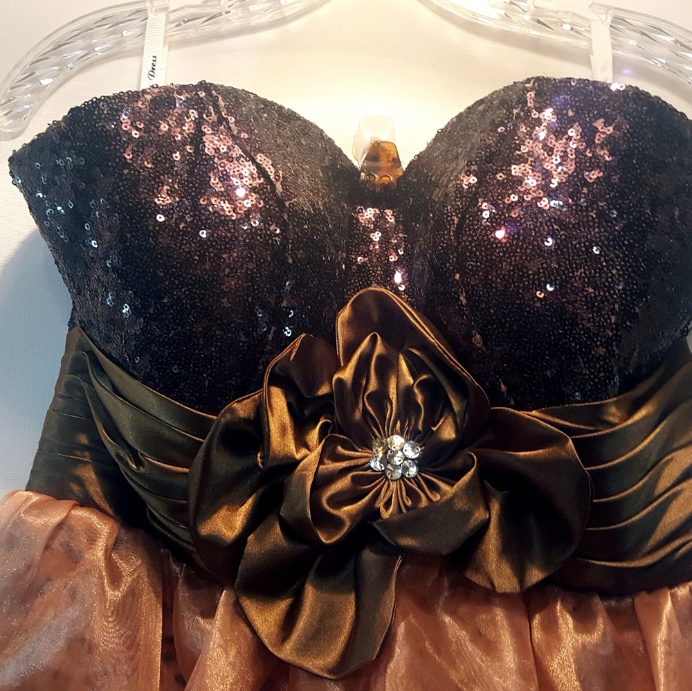 GORGEOUS Cotillion / Prom Dress